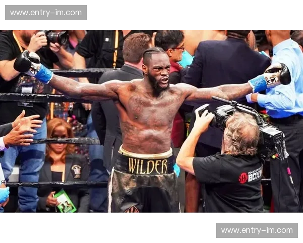 巨兽之争的终极悬念：维尔德vs约书亚视频，揭秘重炮手与战术大师的宿命对决